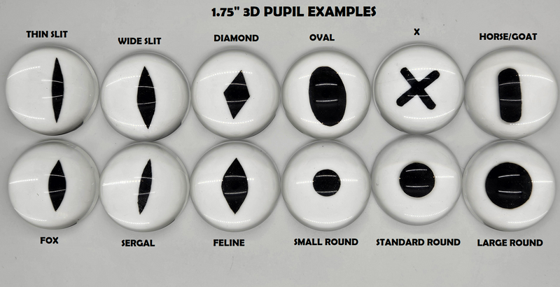 Clear 3D "Following" Resin Eye Blanks