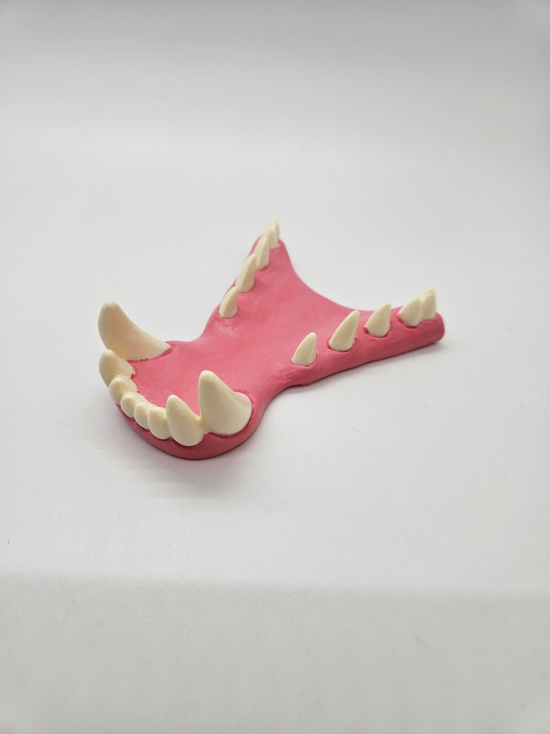 Basic Horned Dragon Jawset