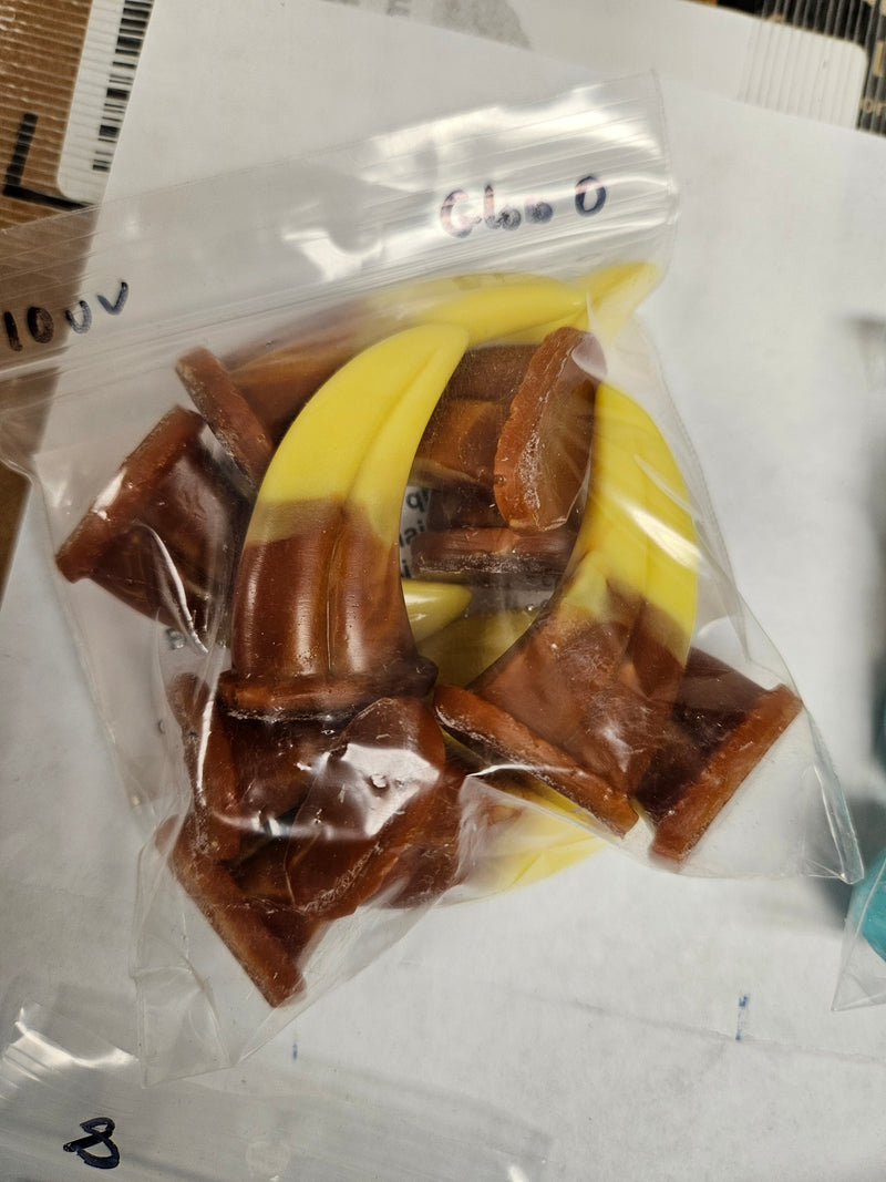 Ready to Ship: Small Raptor Claws