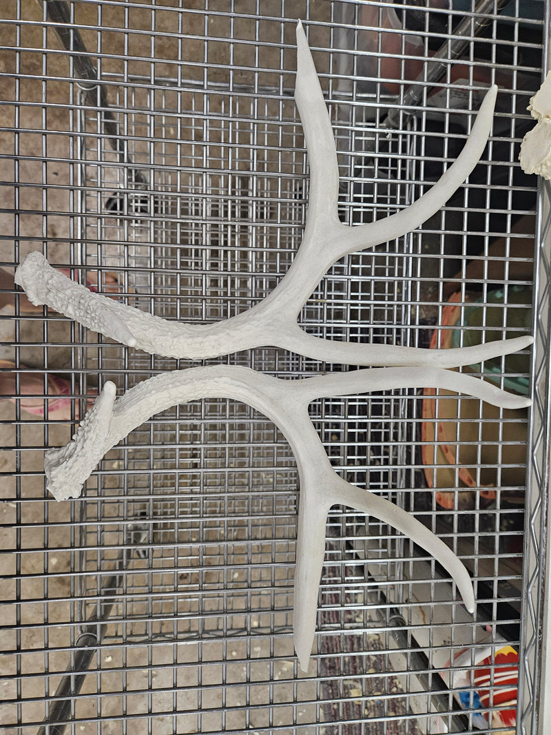 Discounted Item: Horn/Antler sets