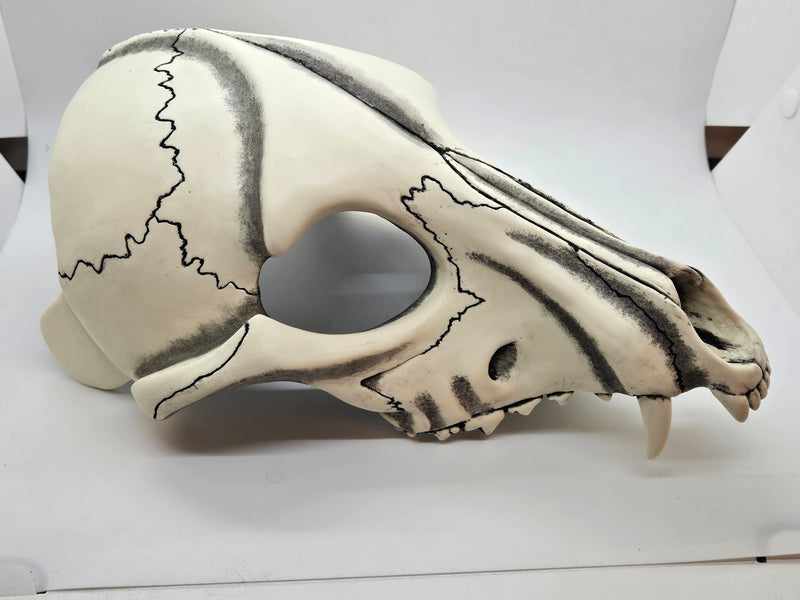 Skeletal K9 Upper Jaw Mask