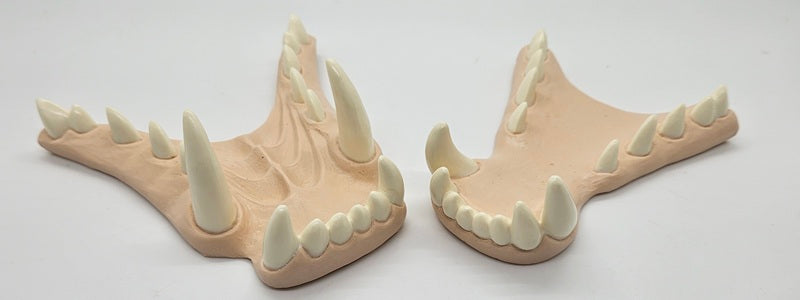 Basic Horned Dragon Jawset