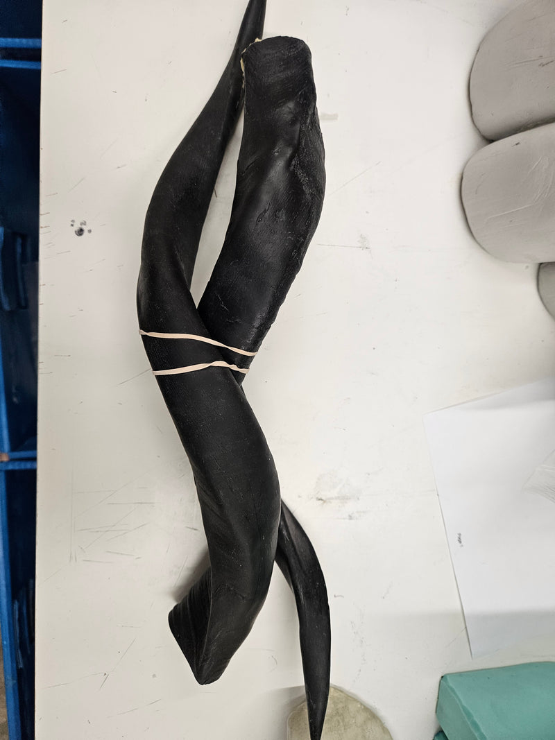 Ready to Ship: Horns