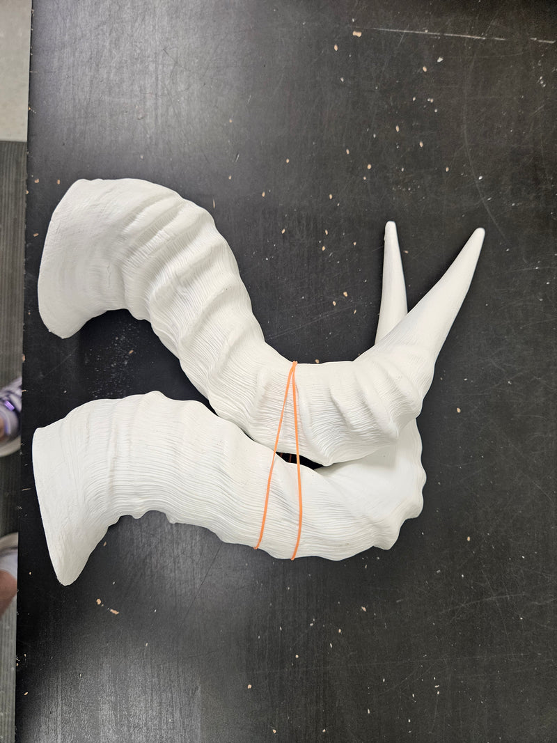 Ready to Ship: Horns