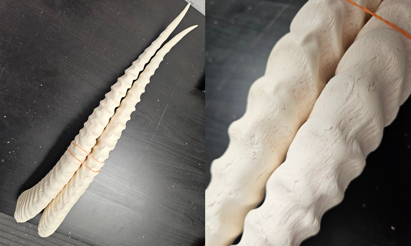 Discounted Item: Horn/Antler sets