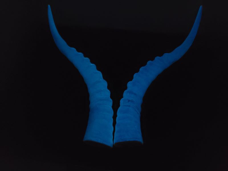 Plastic Glow in the Dark Impala Antelope Horns
