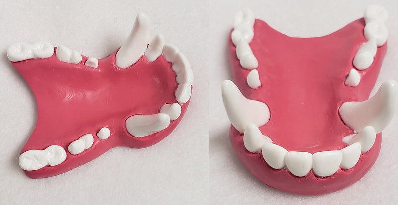 Basic Colored Toony K9 Jawset