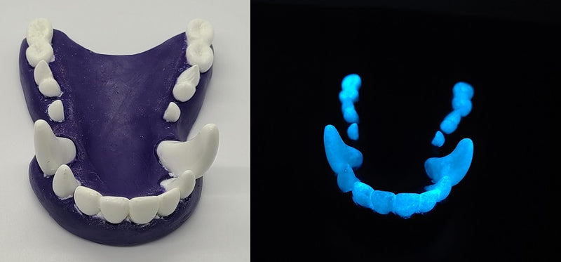 Two Colored Glow in the Dark Toony K9 Jawset