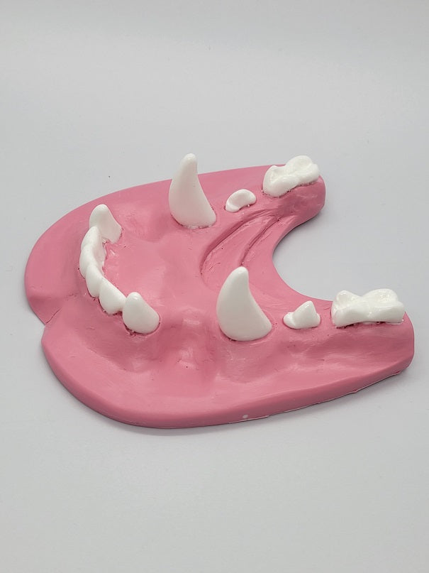 Basic Colored Toony K9 Jawset