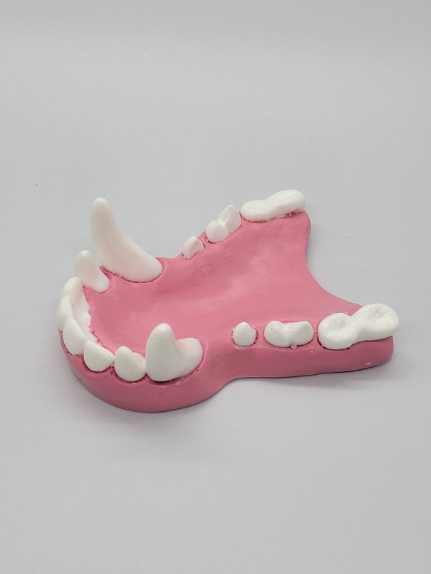 Basic Colored Toony K9 Jawset