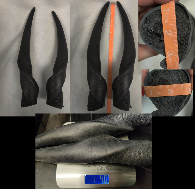 Plastic Opaque Eland Antelope Horns