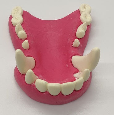 Basic Colored Toony K9 Jawset