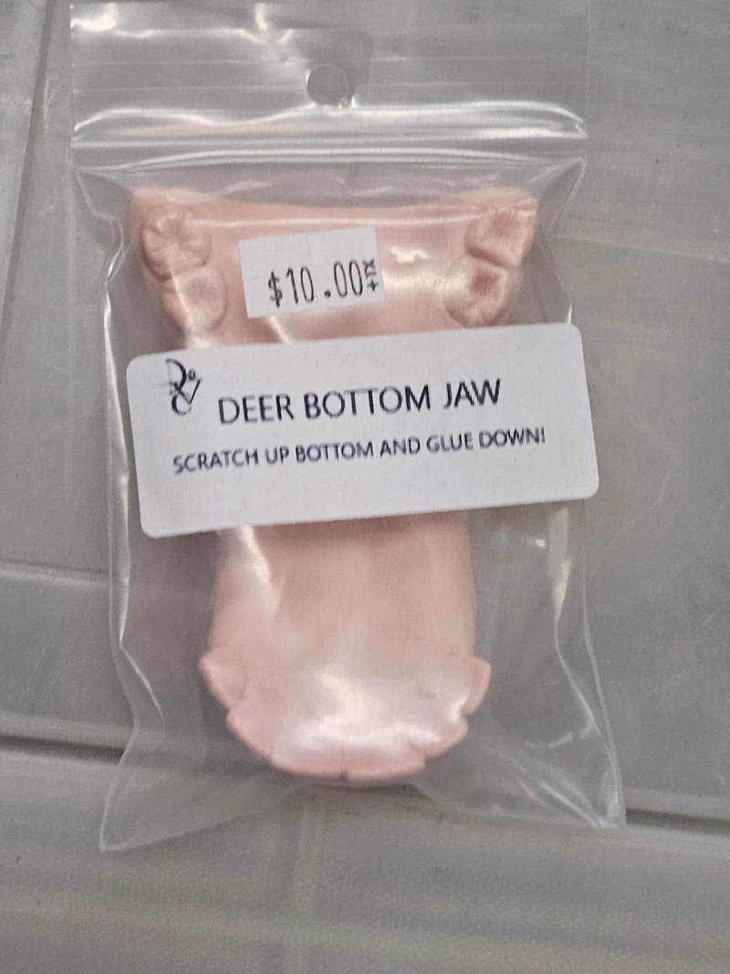 Ready to Ship - Heavy Discount Item: Old Style Deer Bottom Jaw