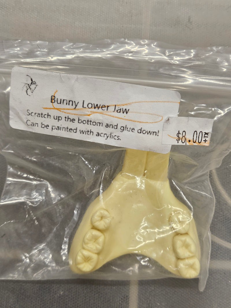 Ready to Ship - Heavy Discounted Item: Old Style Bunny Jawset