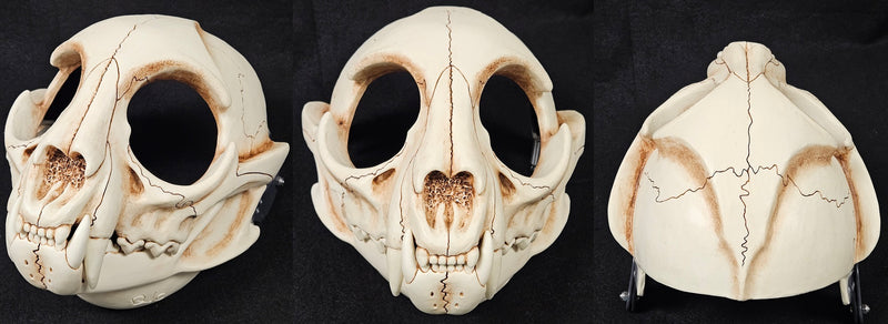 Skeletal Feline Cut and Hinged Mask