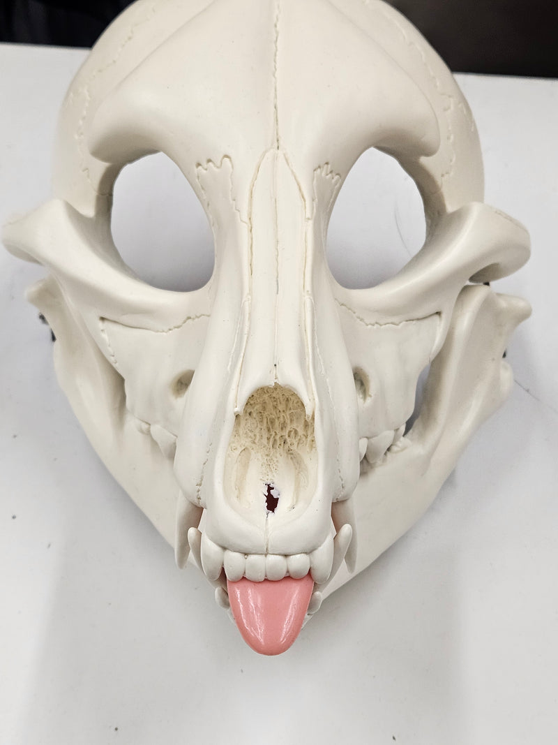 Silicone Skeletal K9 Tongue