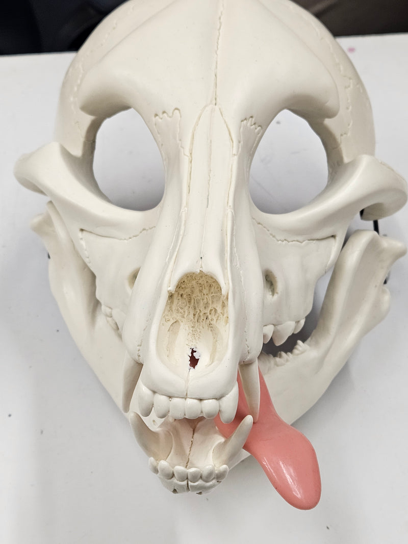 Silicone Glitter Skeletal K9 Tongue