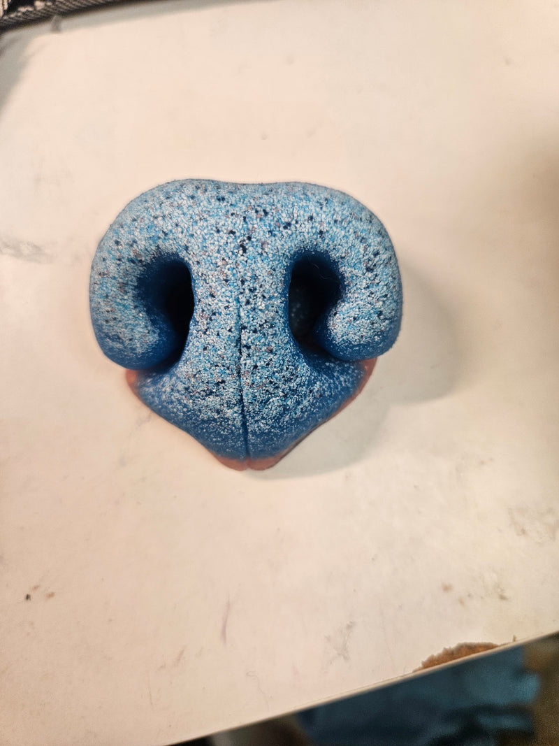 Ready to Ship: Silicone Realistic Canine Nose