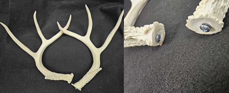 Plastic Opaque Large Whitetail Deer Antlers