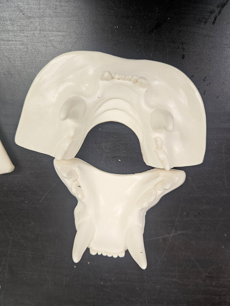 Discounted Item: Jawsets