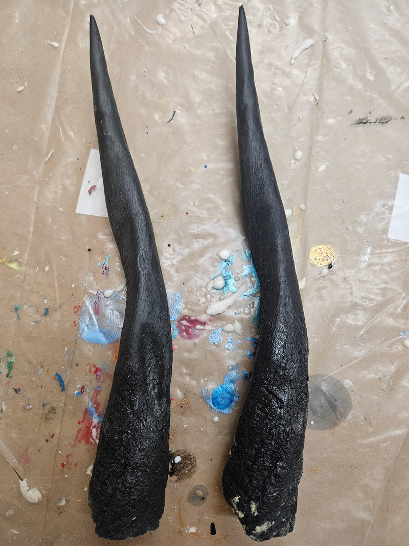Discounted Item: Single Horns