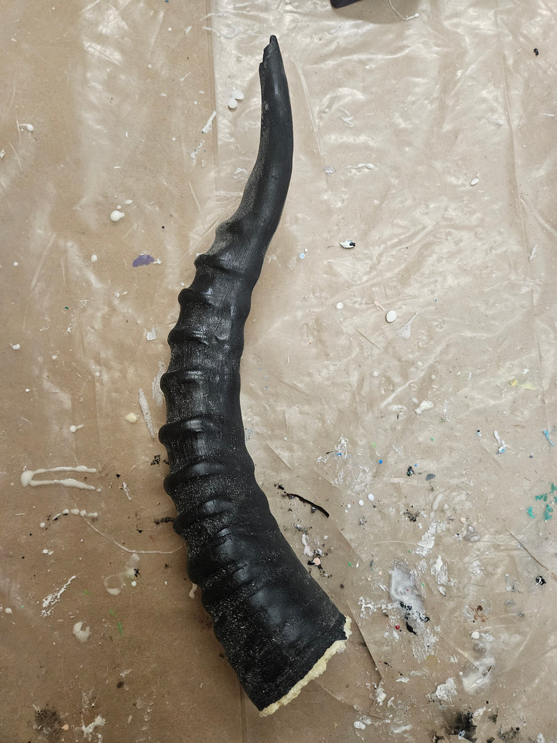 Discounted Item: Single Horns