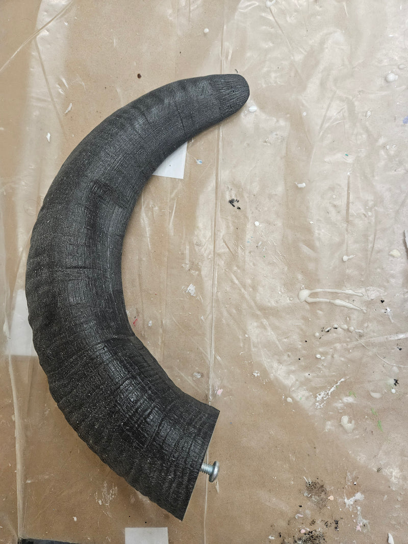 Discounted Item: Single Horns