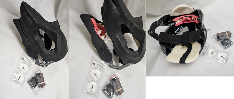 Northern Sergal Standard Resin Kit
