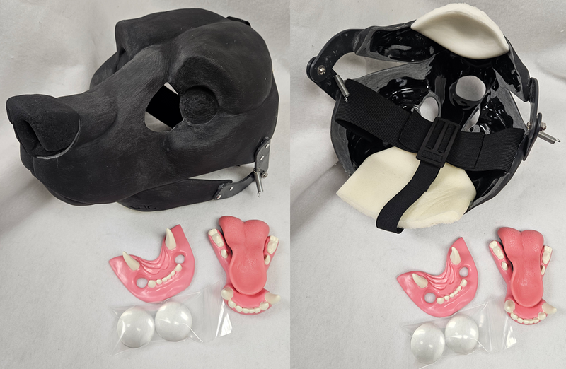 Bear Standard Resin Kit