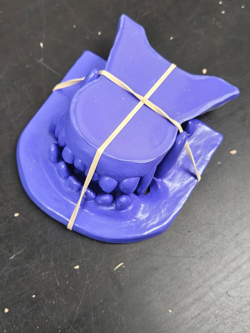 Discounted Item: Jawsets