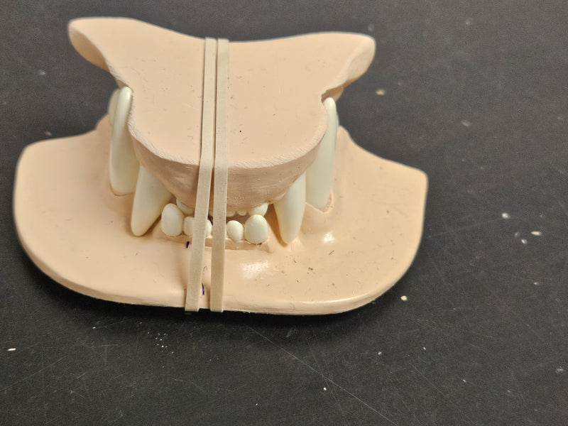 Discounted Item: Jawsets