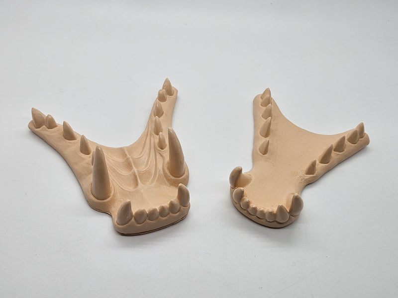 Opaque Single Color Horned Dragon Jawset