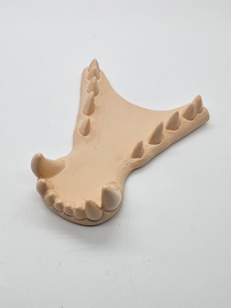 Opaque Single Color Horned Dragon Jawset