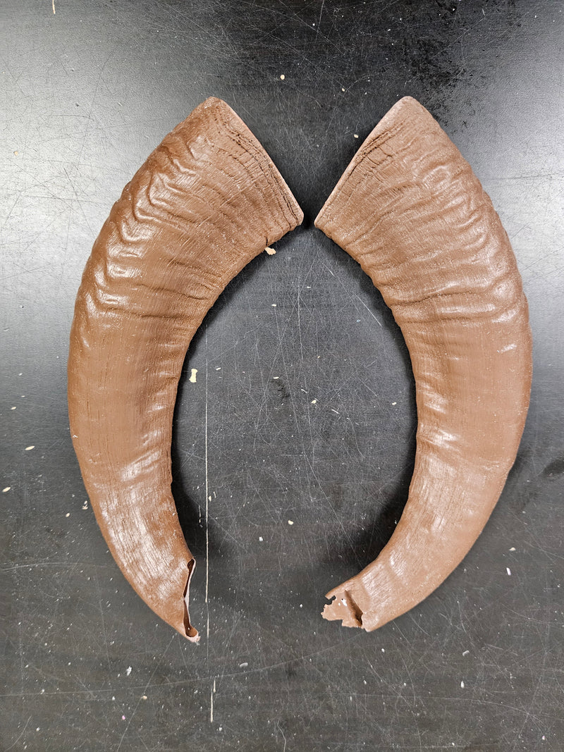 Discounted Item: Horn/Antler sets