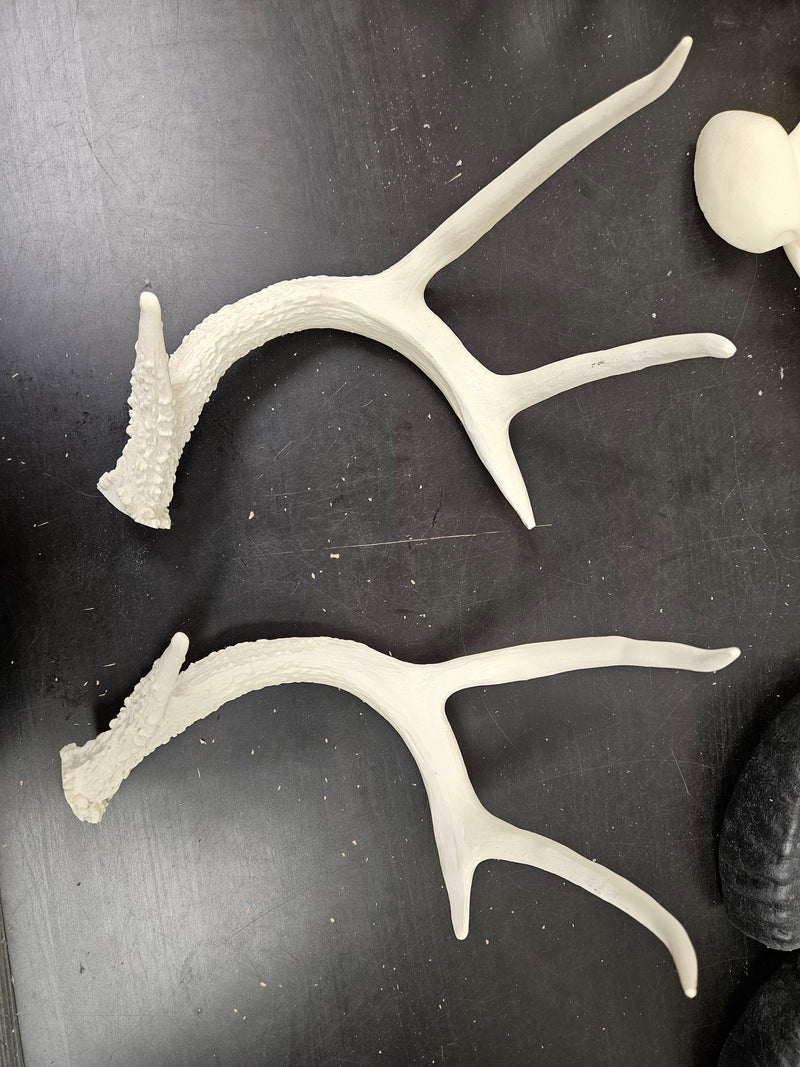 Discounted Item: Single Horns