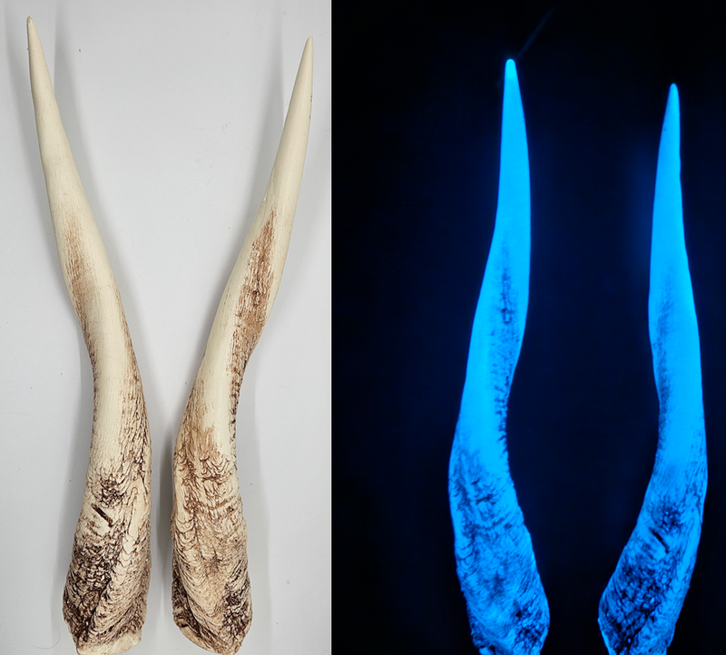Plastic Glow in the Dark Bushbok Antelope Horns