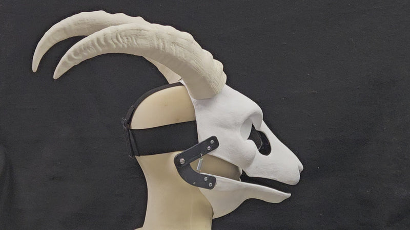 Plastic Opaque Caucasian tur Antelope Horns