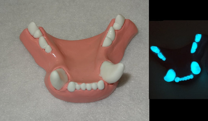 Two Colored Glow in the Dark Small Feline Jawset