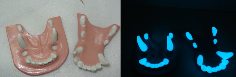 Two Colored Glow in the Dark Canine Jawset