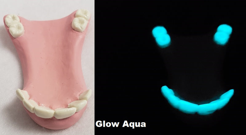Two Colored Glow in the Dark Goat Bottom Jaw