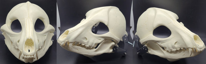 原宿　DOG 骸骨マスク Skeletal K9 Cut and Hinged Mask – DreamVision Creations