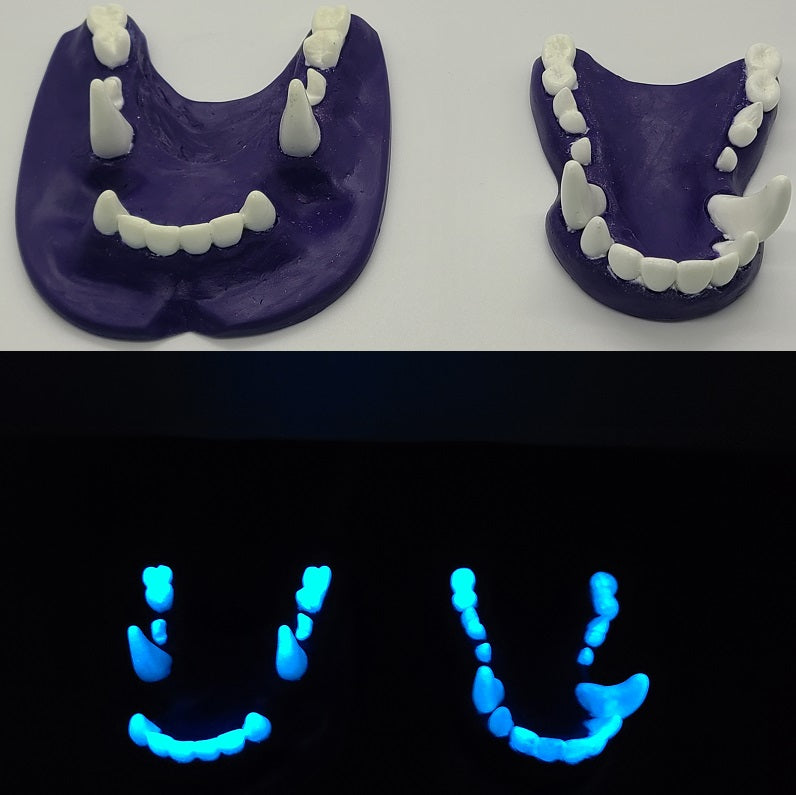 Two Colored Glow in the Dark Toony K9 Jawset