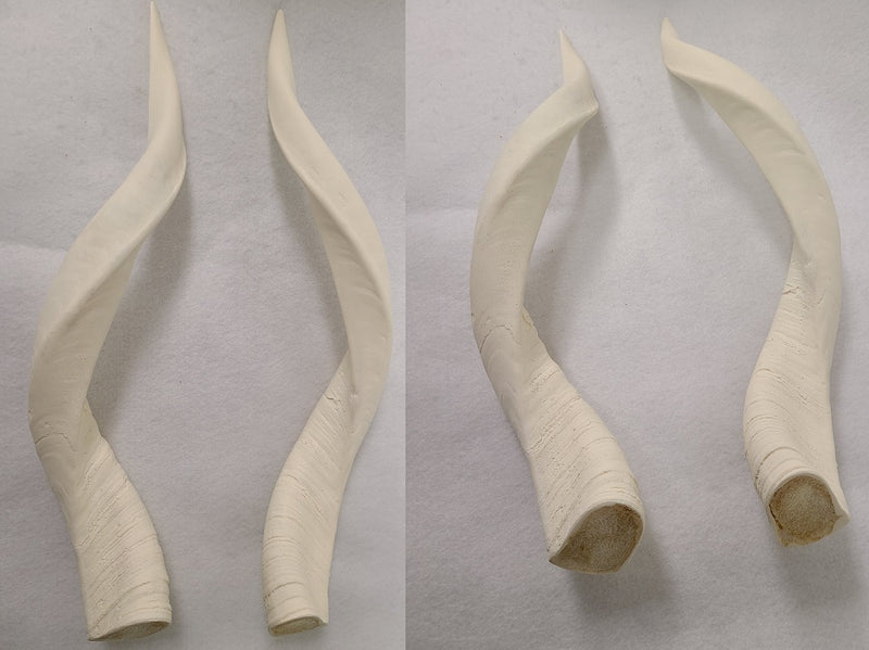 Plastic Opaque Nyala Antelope Horns