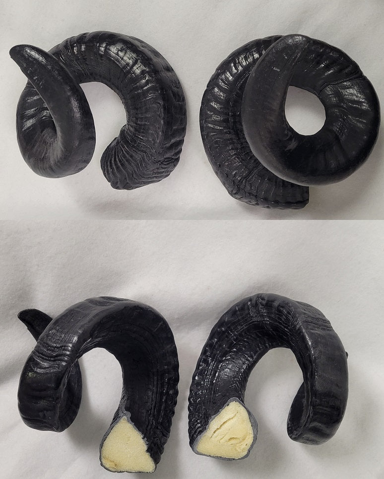 Plastic Opaque Double Curl Ram Horns