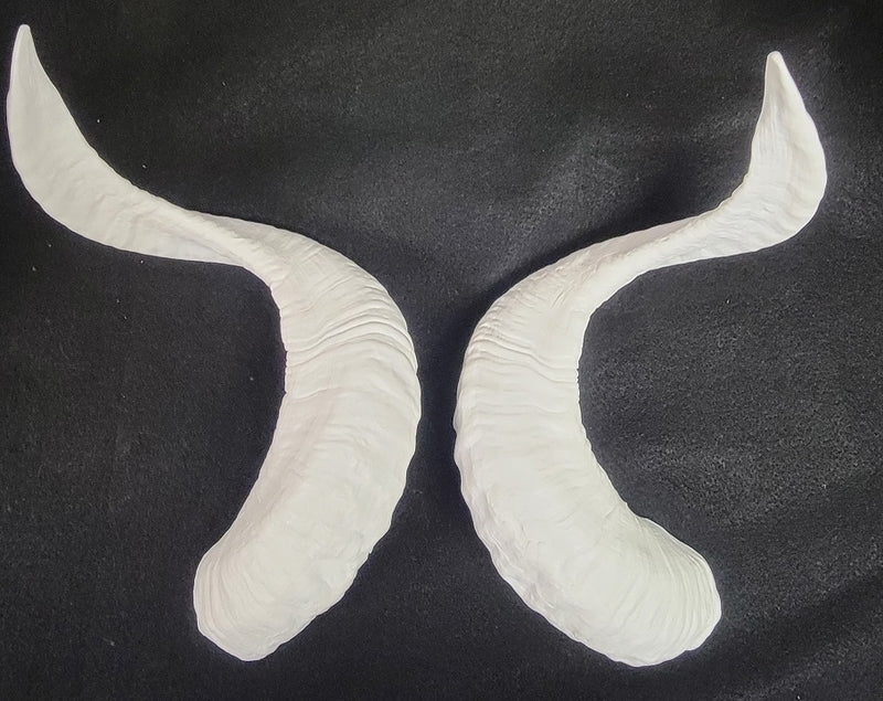 Plastic Opaque Corsican Ram Horns