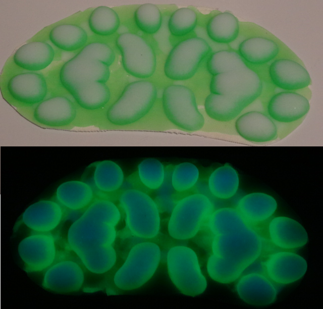 Silicone Glow in the Dark Small Anthro K9 Handpads