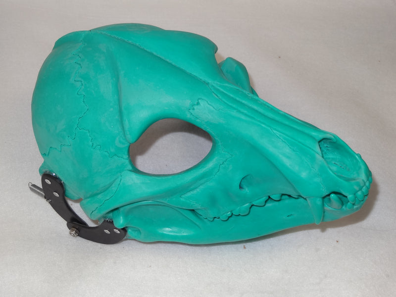 Specialty Cut and Hinged Skeletal K9 Resin Mask Blank