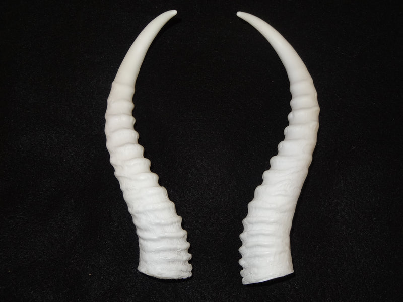 Plastic Opaque Springbok Antelope Horns