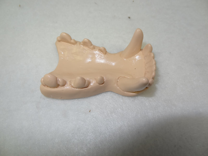 Opaque Single Color Small K9 Jawset