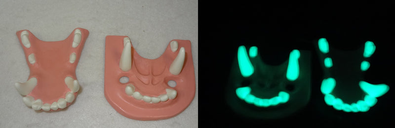 Two Colored Glow in the Dark Canine Jawset